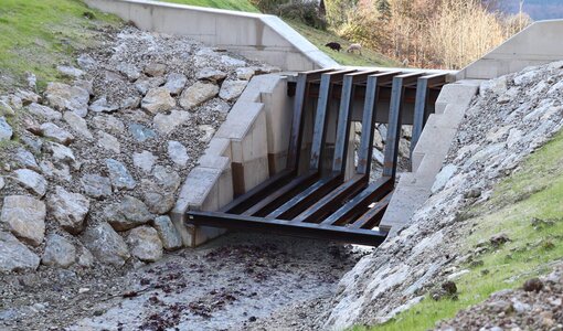 Wildbach- und Lawinenverbauung Filterbauwerk für Hochwasserschutz in Bad Goisern