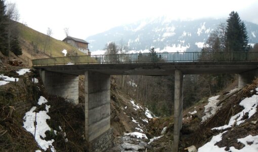 land vorarlberg hoelltobelbruecke amiko pruefung.jpg