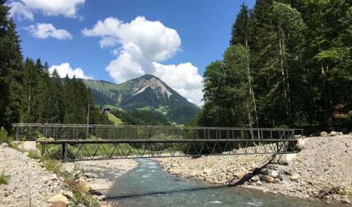 Fußgängerbrücke über die Litz, Sonntag, statische Berechnung amiko