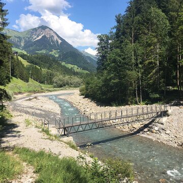 Crane girder bridge Sonntag (A)