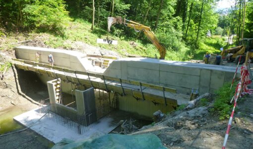 Top of the construction phase of the torrent filter barrier, Brunngraben