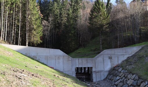Sperrbauwerk Bad Goisern, Hochwasserschutz