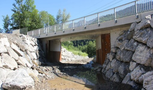 L83, Vandans, Torrent and avalanche protection, planning new construction bridge Auenlatschbach amiko