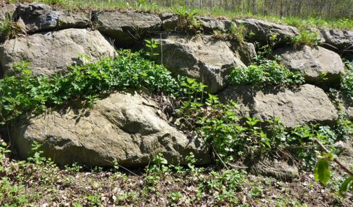 technical check of retaining wall structure for county government of Vorarlberg, amiko