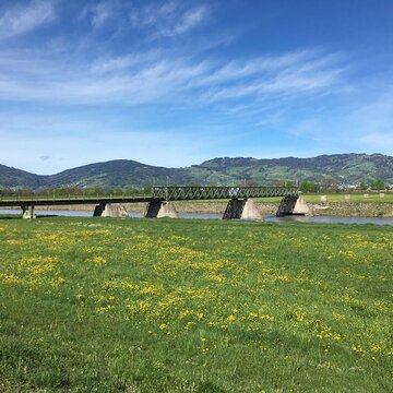 Dismantling of service railway bridge - International Rhine-Stream-Control